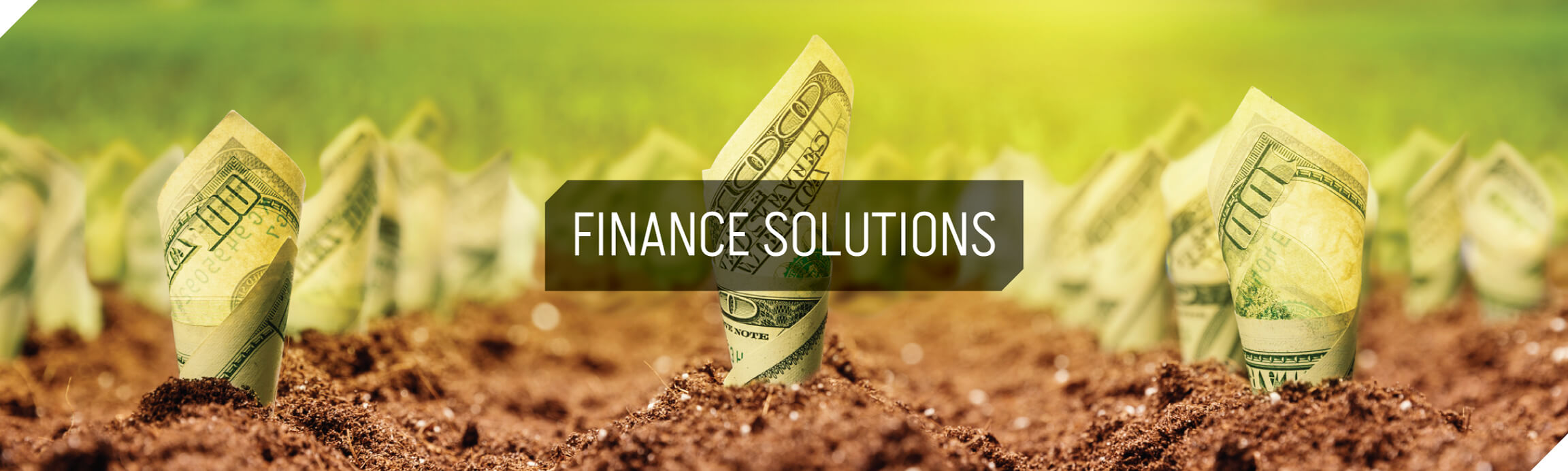 Finance Solutions at Riechmann Bros